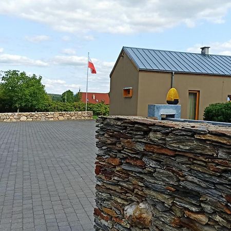 Gospodarstwo Agroturystyczne-Pensjonat Sad Podgórzyn Exterior foto